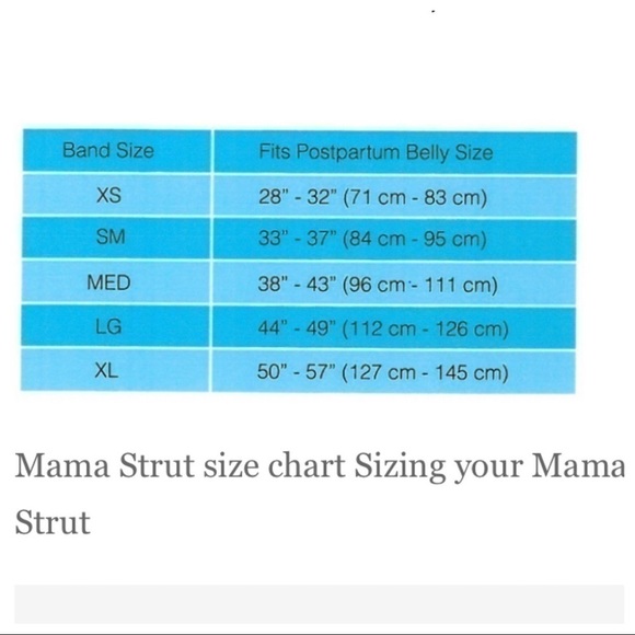 NWT Mama Strut by Pelv-Ice Postpartum Support Brace System Sizes 4XL & 2XL - Picture 11 of 12